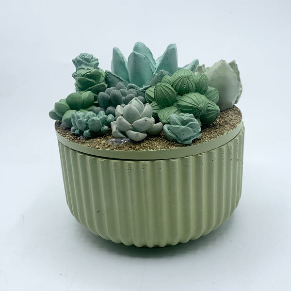 Concrete Succulent Garden Container - Ribbed - 6