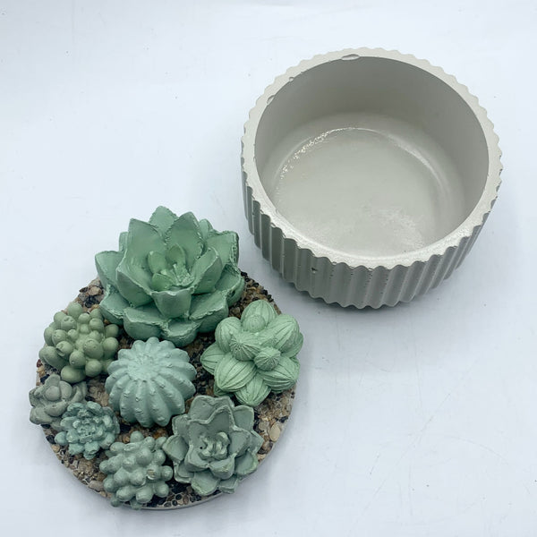 Concrete Succulent Garden Container - Ribbed - 3