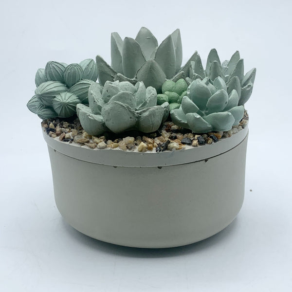 Concrete Succulent Garden Container - 1