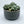 Load image into Gallery viewer, Concrete Succulent Garden Container - 4
