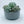 Load image into Gallery viewer, Concrete Succulent Garden Container - 5
