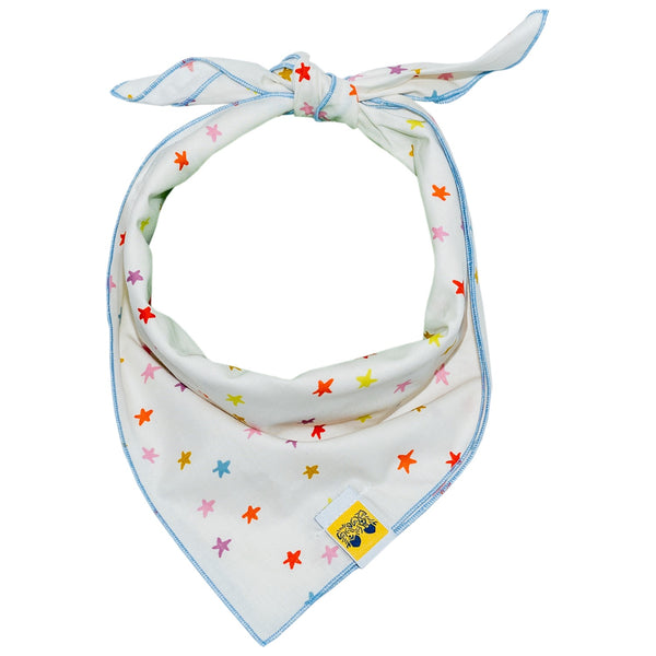 Celebration Confetti Dog Bandana - 1