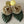 Load image into Gallery viewer, Natura small Rose with leaf banana fiber earrings  - 1
