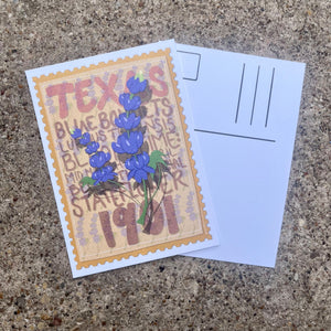 Texas Blue Bonnet Postcard - 1