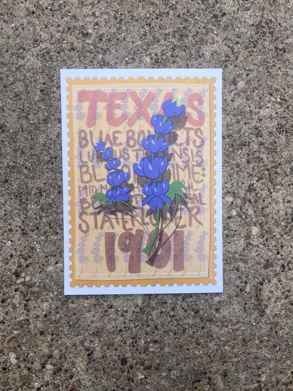 Texas Blue Bonnet Postcard - 2