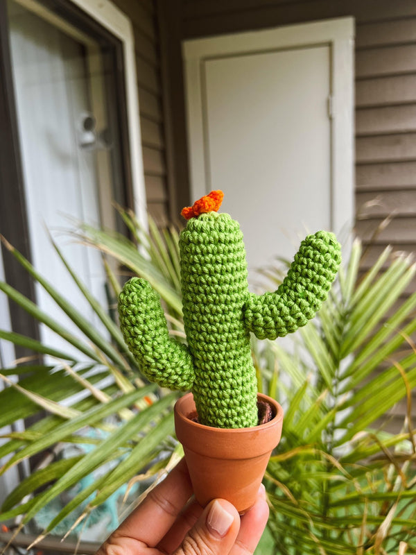 Crochet Cactus - 1