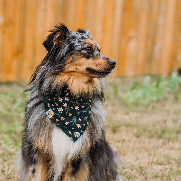 Forest Fauna Dog Bandana - 2