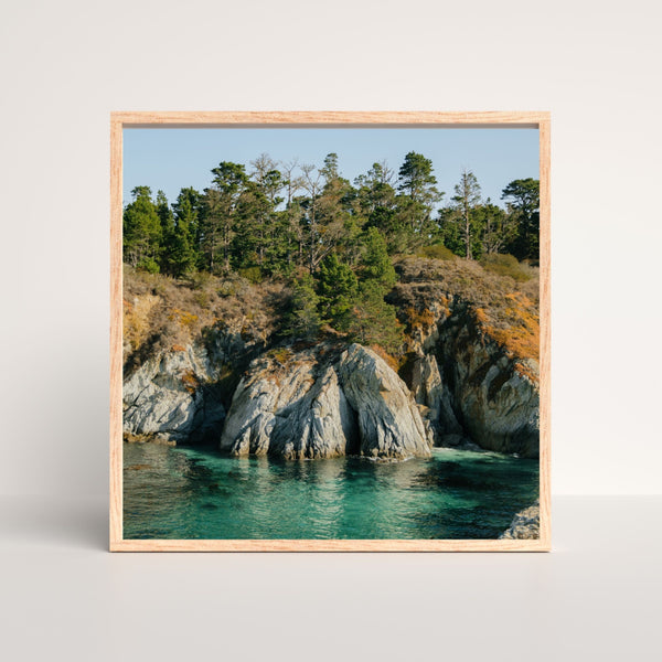 Teal Waters at Point Lobos - 1