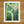 Load image into Gallery viewer, Green Archways with Pink Flowers Print
