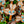 Load image into Gallery viewer, 611fc05e3c4ce80992caae23_20230502-123125_1791839747267.jpg
