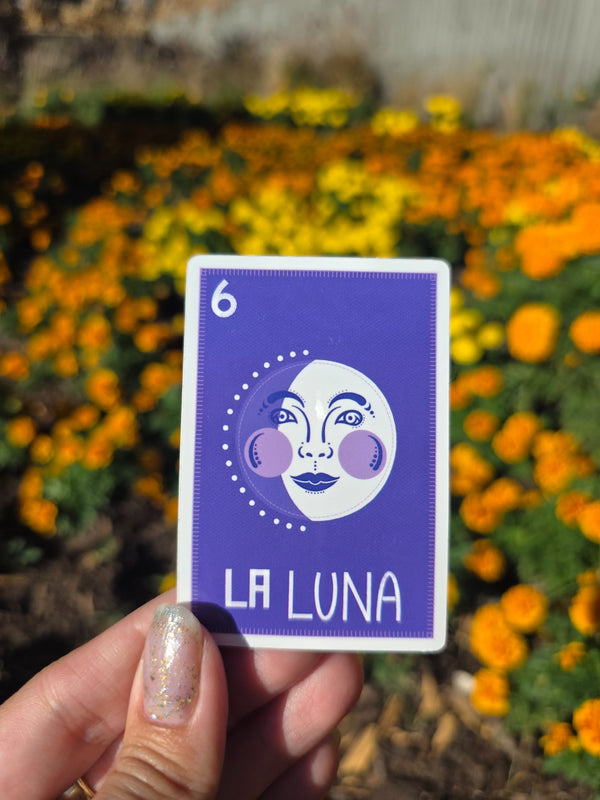 611fc05e3c4ce80992caae23_20251018-035723-0_1790972781564.jpg