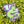 Load image into Gallery viewer, 611fc05e3c4ce80992caae23_20260810-181805_1786491424875.jpg
