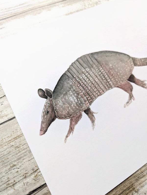 611fc05e3c4ce80992caae23_armadillo-detail_1774990170294.jpg