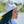 Load image into Gallery viewer, 611fc05e3c4ce80992caae23_blue-chinoiserie-ivory-teardrop-rancher-lifestyle-1_1776441872716.jpg
