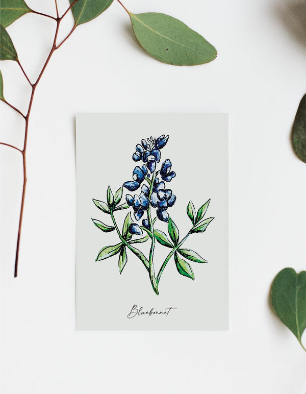 611fc05e3c4ce80992caae23_bluebonnet-mock_1748014651162.jpg