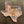 Load image into Gallery viewer, 611fc05e3c4ce80992caae23_coptxtray_1750352863813.jpg
