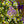 Load image into Gallery viewer, 611fc05e3c4ce80992caae23_d1b5a532-e135-45bf-b8f8-095807c1169f-1-201-a_1790363678762.jpg
