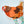 Load image into Gallery viewer, 611fc05e3c4ce80992caae23_dscf9128_1783030394207.jpg
