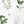Load image into Gallery viewer, 611fc05e3c4ce80992caae23_herbs-prints_1774991336112.jpg
