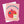 Load image into Gallery viewer, 611fc05e3c4ce80992caae23_img-0816_1777743272941.jpeg
