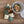 Load image into Gallery viewer, 611fc05e3c4ce80992caae23_img-3863_1784920865150.jpeg
