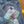 Load image into Gallery viewer, 611fc05e3c4ce80992caae23_img-4395_1777839436546.jpeg
