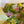 Load image into Gallery viewer, 611fc05e3c4ce80992caae23_img-5165_1779815808049.jpeg
