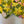 Load image into Gallery viewer, 611fc05e3c4ce80992caae23_img-5166_1779815808049.jpeg

