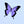 Load image into Gallery viewer, 611fc05e3c4ce80992caae23_img-8162_1782933409936.jpeg
