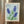 Load image into Gallery viewer, 611fc05e3c4ce80992caae23_img-8340_1776096973820.jpeg
