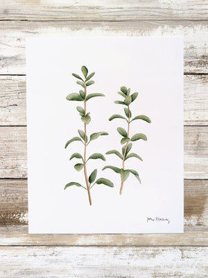 611fc05e3c4ce80992caae23_oregano-print_1774991336113.jpg