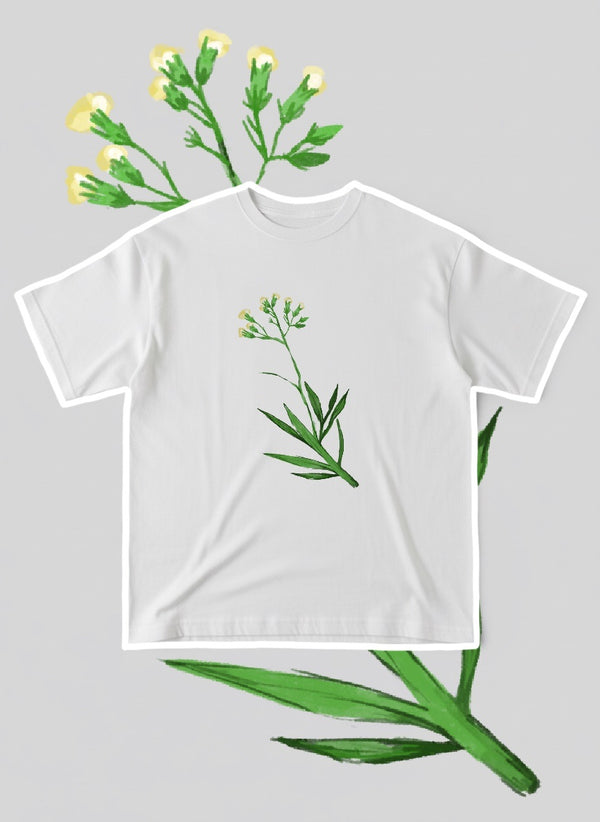 611fc05e3c4ce80992caae23_oversize-plant_1759191653537.jpg