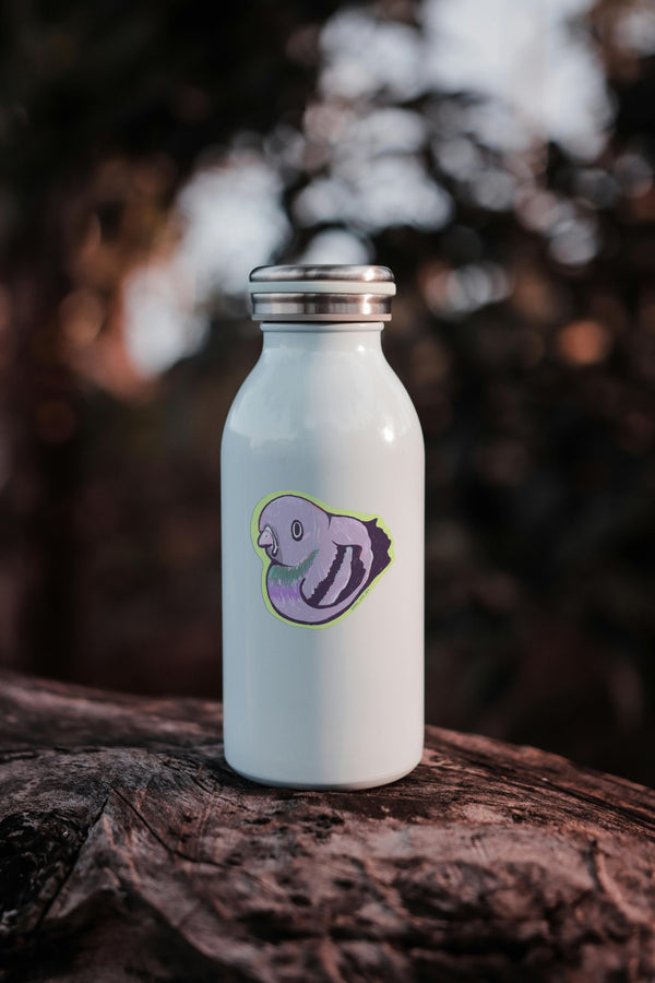 611fc05e3c4ce80992caae23_pigeon-waterbottle_1790894373622.png