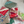 Load image into Gallery viewer, 611fc05e3c4ce80992caae23_quilt-coin-purse_1774914723461.png

