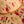 Load image into Gallery viewer, 611fc05e3c4ce80992caae23_red-roses-tan-pinched-rancher-detail_1786551926642.jpg
