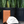 Load image into Gallery viewer, 611fc05e3c4ce80992caae23_scallop-fo-wallet-brown-ed2_1785430230646.png
