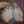 Load image into Gallery viewer, 611fc05e3c4ce80992caae23_screenshot-2026-10-02-at-7.05.17-pm_1790985963173.png
