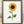Load image into Gallery viewer, 611fc05e3c4ce80992caae23_sunflower-print-in-frame_1791290474530.jpg
