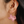 Load image into Gallery viewer, 611fc05e3c4ce80992caae23_texas-rose-ear_1778015031991.png
