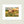 Load image into Gallery viewer, 611fc05e3c4ce80992caae23_web-listing-longhorn-colorstorm2-5x7-in-8x10-mat-2000.png_1791494064058.jpg
