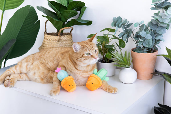 Prickly Plants Cat Toy Set