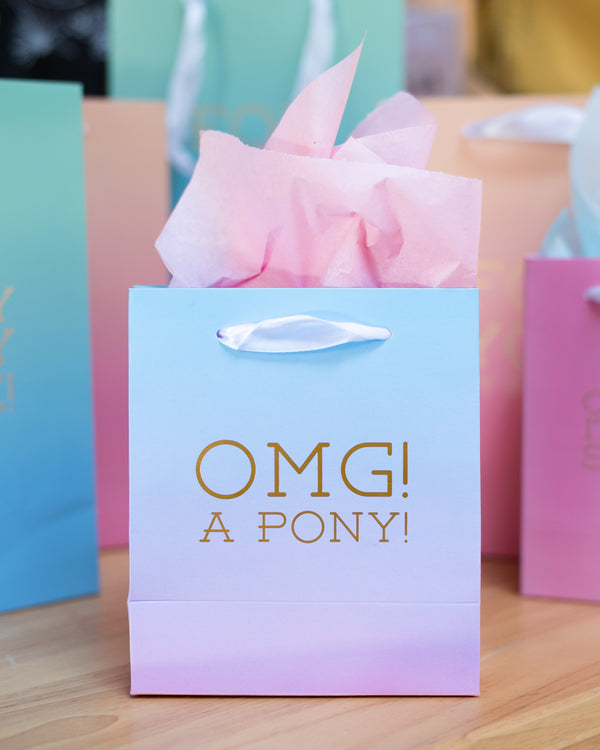 Small Gift Bag - OMG! A PONY!