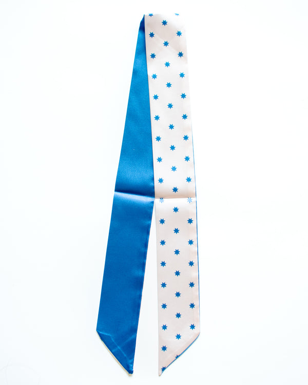 Blue By You Skinny Scarf