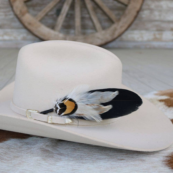 Feather Hat Accent - Ringtail