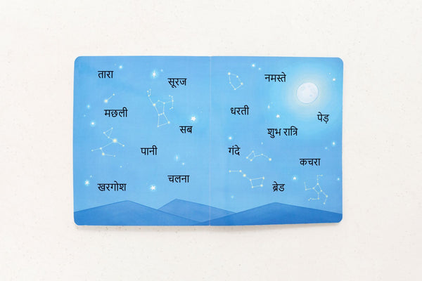 My Beautiful Earth Hindi Bilingual Book - 9