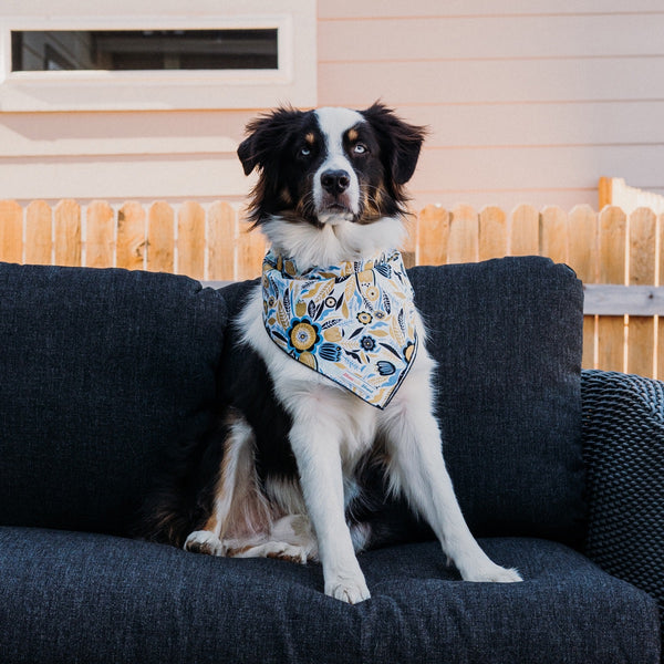 Geometric Wildflower Dog Bandana - 2