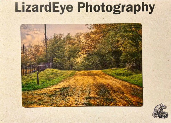 Backroads Photography Print - 1