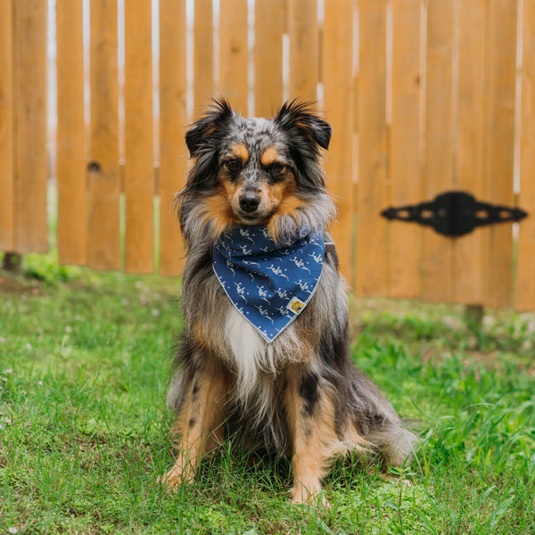 Dallas Skyline Dog Bandana - 2