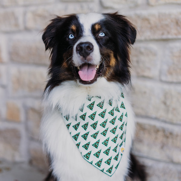 Christmas Tree Forest Bandana - 2