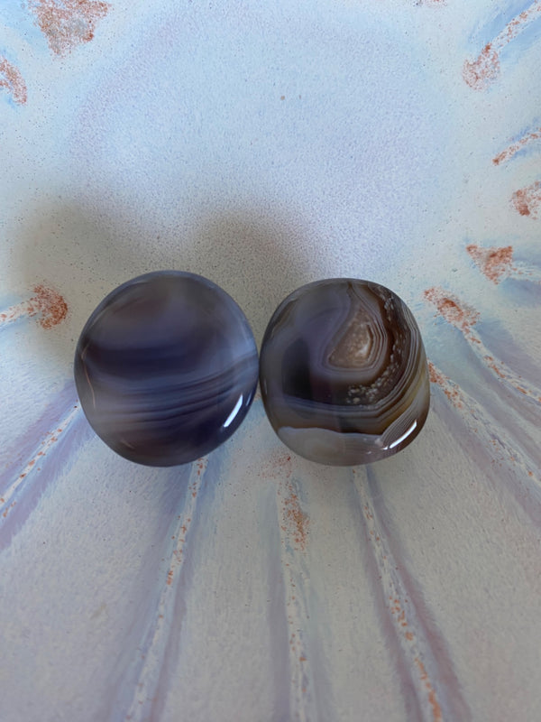 Yin Yang Botswana Agate Earrings  - 1